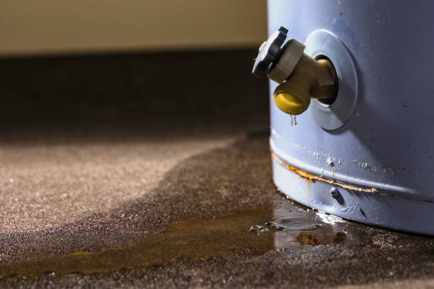 Best Water damage restoration process  in Riva, MD