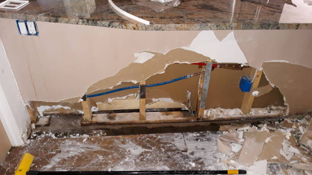 Best Water damage restoration near me  in Riva, MD