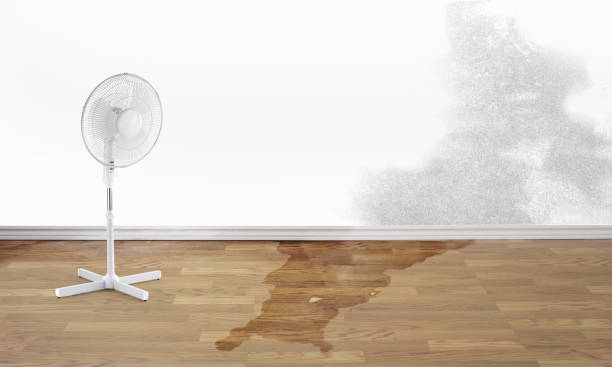 Best Sewage cleanup and water damage restoration  in Riva, MD