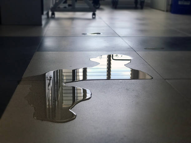Best Carpet water damage restoration  in Riva, MD