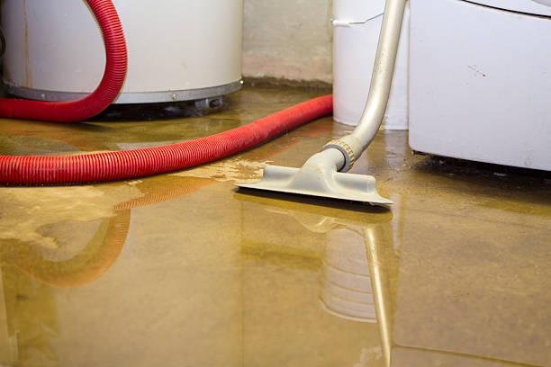 Best Flood damage cleanup  in Riva, MD