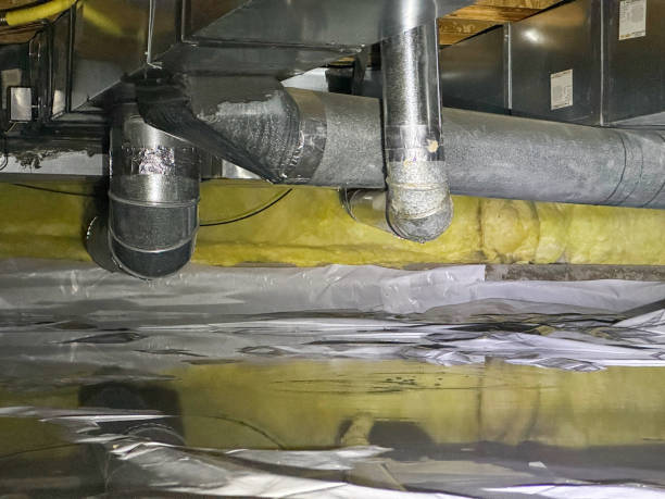 Best Water damage restoration near me  in Riva, MD