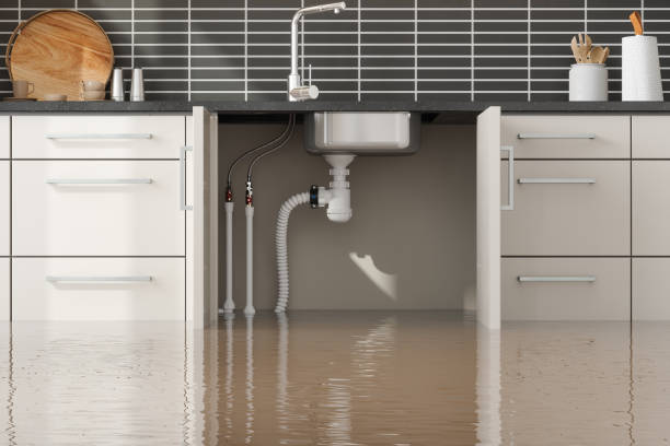 Best Mold removal after water damage  in Riva, MD