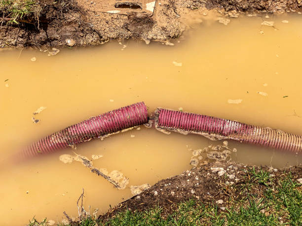Best Carpet water damage restoration  in Riva, MD