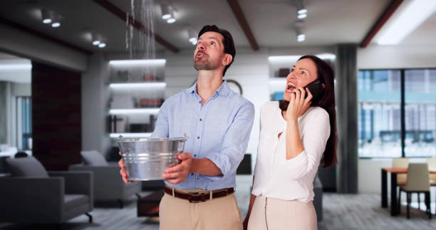 Best 24/7 water damage repair  in Riva, MD