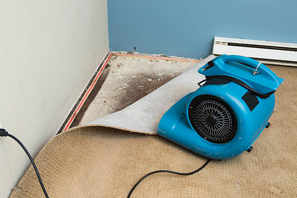 Best Basement water damage restoration  in Riva, MD